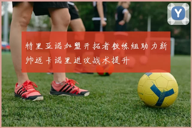 特里亚诺加盟开拓者教练组助力新帅迈卡诺里进攻战术提升